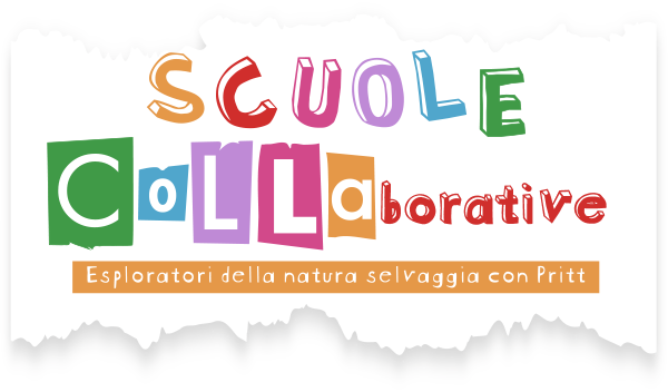 Scuole Collaborative
